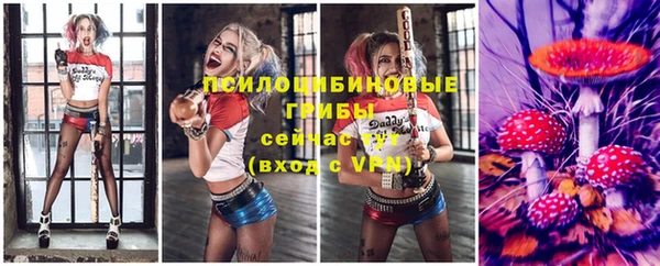ГАЛЛЮЦИНОГЕННЫЕ ГРИБЫ Бронницы