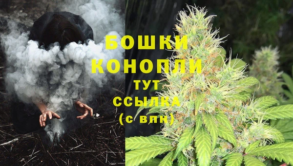 МДМА Бородино