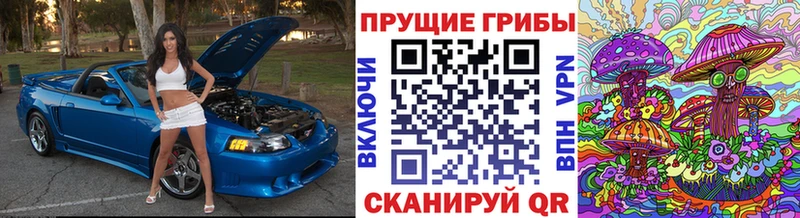Галлюциногенные грибы Psilocybe  Люберцы 